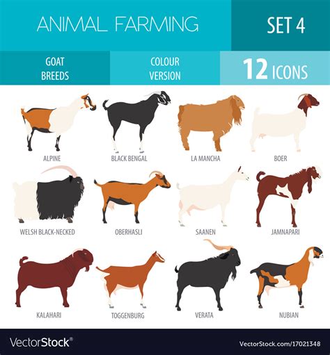 Goat breeds icon set animal farming flat design Vector Image