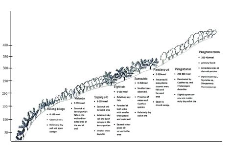 Transect diagram and description of sampling sites in QPL. | Download ...