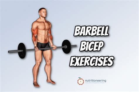 9 Best Barbell Bicep Exercises for Arm Size and Strength