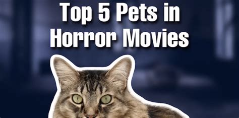 Top 5 Pets in Horror Movies - Horror Society