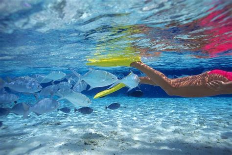 Undersea diving - Marshall Islands