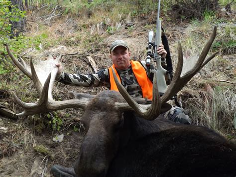 Moose Hunting Photos 2014 | Montana Hunting Outfitter