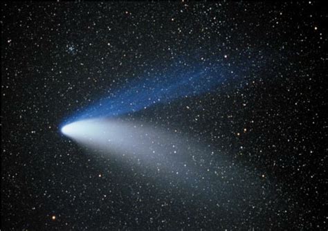 Comet Hale-Bopp exhibited both a spectacular bluish plasma tail, and a ...