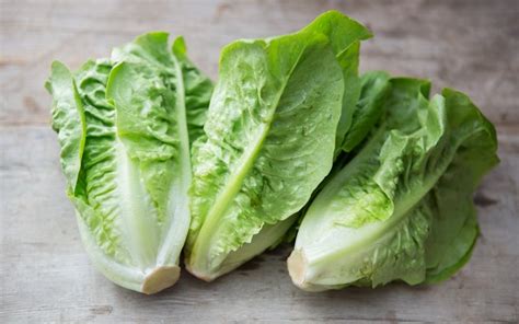 Organic Baby Romaine Lettuce Trio | 3 count | Coke Farms | Good Eggs