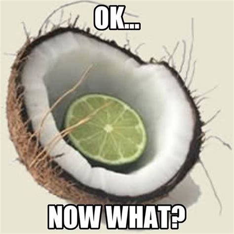 You Put The Lime In The Coconut Meme - MEMEYF