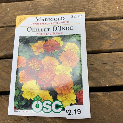 OSC Seeds Marigold 'Dwarf French Petite Mixed' Seeds - Klomps Home and Garden