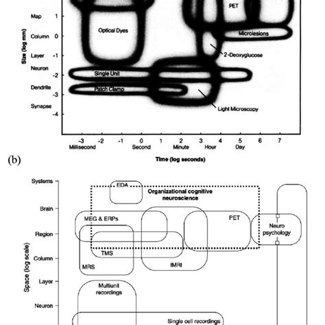 1 Spatial and temporal resolutions of neuroscience techniques Notes:... | Download Scientific ...