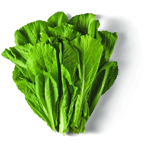 Fresh Straight Leaf Mustard Greens - Shop Lettuce & Leafy Greens at H-E-B