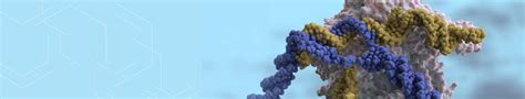 CRISPR Therapeutics Reviews: What Is It Like to Work At CRISPR ...