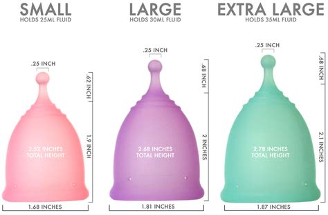 Cup Size Chart Nation