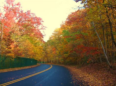 Endangered New Jersey: Fall Foliage in New Jersey