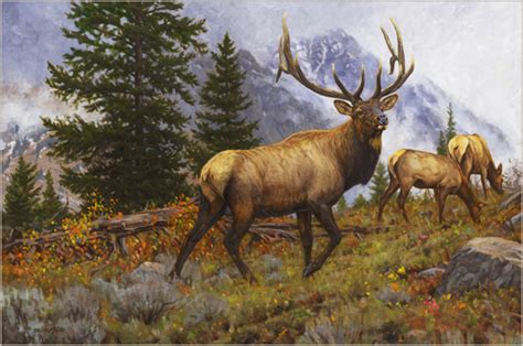 Elk |Rocky Mountain Elk oil painting by wildlife artist Bruce Miller | Elk pictures, Hunting art ...