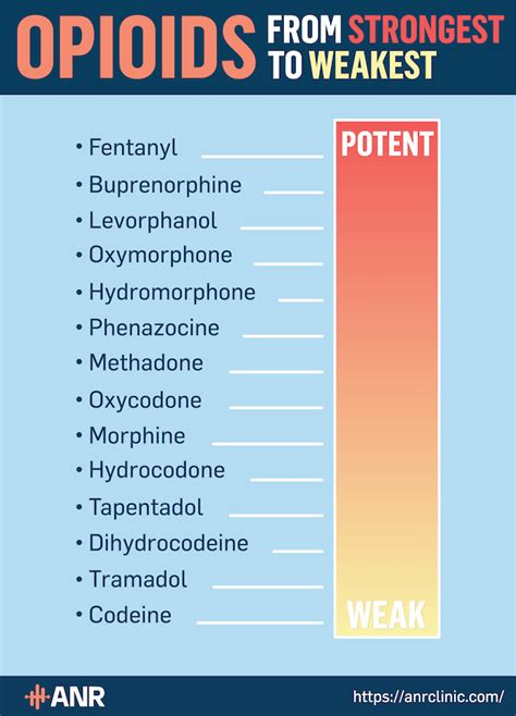 Pain Medication Conversion Chart - vrogue.co