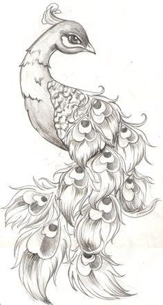 peacock | Peacock tattoo, Art drawings, Sketches