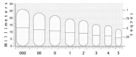 Capsule Size Chart Mg : The Brand - Understanding the sizing of capsules: - clasifuk