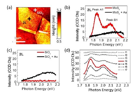 Effect of 2 nm Au deposition on MoS2 photoluminescence (PL). (a) AFM ...