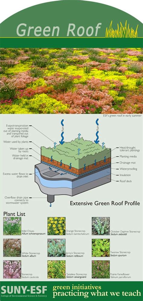 SUNY-ESF: SUNY College of Environmental Science and Forestry | Green roof, Roof garden ...