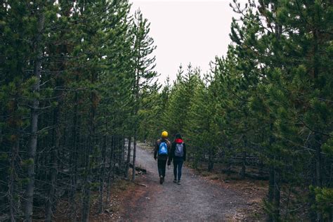 Hiking In Yellowstone National Park - thewandercamp