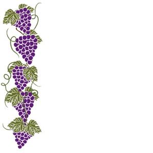 Grapevine Clipart Borders