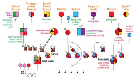 10+ Genogram Examples (and How to Create Them) - Venngage