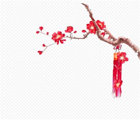 Red Chinese Flower | Chinese flower, Flower outline, Flower images