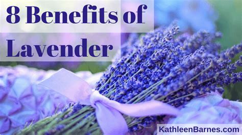 Lavender - 8 Benefits of this Amazing Herb – KathleenBarnes.com