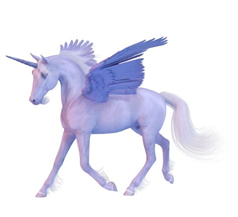 Winged Unicorn 1 by Direwrath on DeviantArt