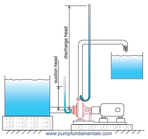 capire Al di là Acquista suction lift of centrifugal pump gravità morbido Equivalente