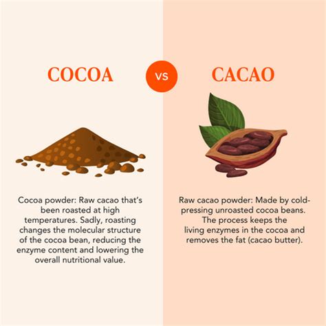 Cacao vs Cocoa: Why you Should Know the Difference - I Quit Sugar