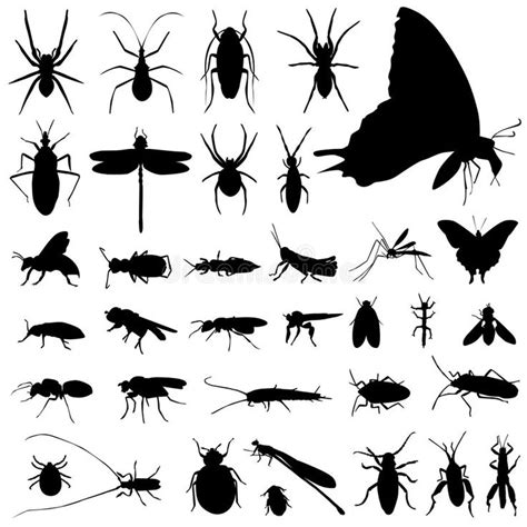 Set of insect vector. In black and white , #Affiliate, #insect, #Set, # ...