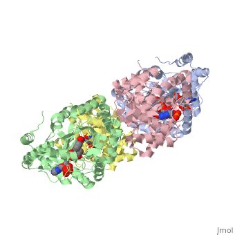 Ion channels - Proteopedia, life in 3D