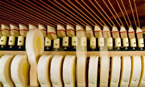 Interior Details of Piano Strings and Hammers - Ed O'Keeffe Photography