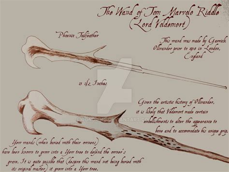 The Wand Of Lord Voldemort Diagram by gondring on DeviantArt