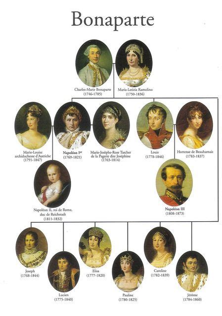 Napoleon in Art - MrOberackerLAHS | Royal family trees, Napoleon ...