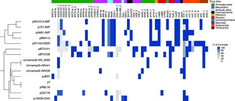 AMR gene content of the pBT2436-like megaplasmid group. The heatmap... | Download Scientific Diagram