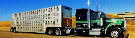 Hauling Livestock: 3 Things to Know