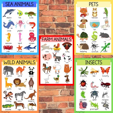 Different kinds of animals • Teacha!