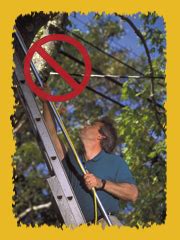 e-SMARTkids-Tree & Power Line Safety-Safe Tree Trimming