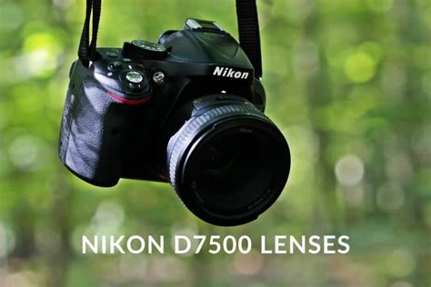 9 Best lenses for Nikon D7500 [updated 2024] - Genem Photography