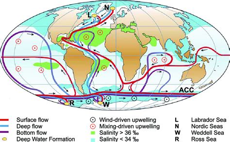 Thermohaline Circulation Diagram