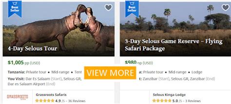 Selous Accommodation, Safari Lodges and Hotels