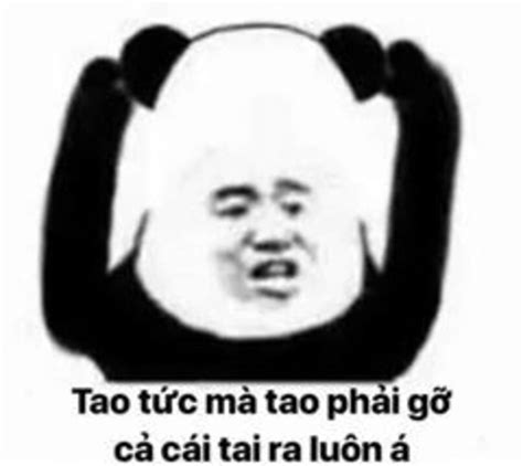 Meme Gấu Trúc Bựa, Meme Gấu Trúc Troll Face Siêu Hài - Học Wiki