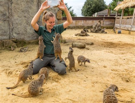 Keeper & Professional Development | Woburn Safari Park