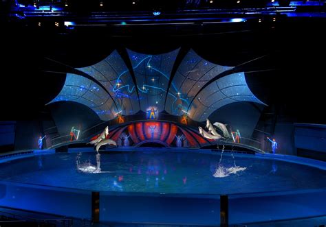 Georgia Aquarium Dazzles With Debut Dolphin Event | Georgia Aquarium