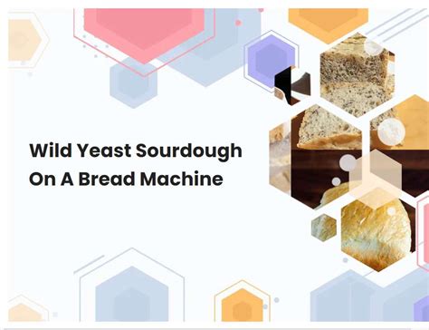 Wild Yeast Sourdough On A Bread Machine | breadmach.com