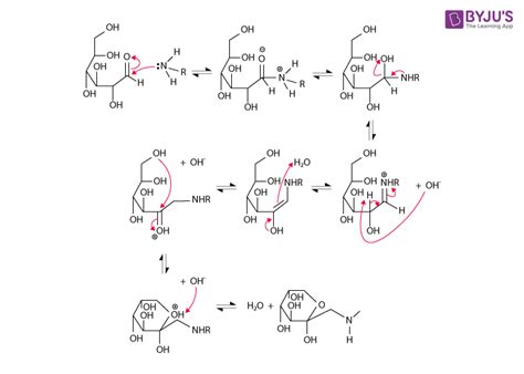 What is the Maillard Reaction? - Mechanism with Examples and Illustrations