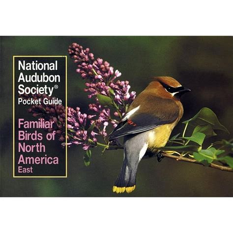 National Audubon Society Pocket Guides: National Audubon Society Pocket ...