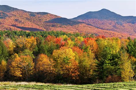 Green Mountain Fall Foliage Photograph by Alan L Graham - Fine Art America