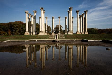 National Arboretum, Original Capitol Columns [OC] [5159x3440] : r/washingtondc