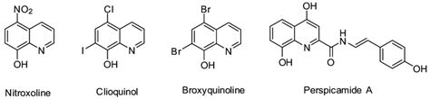 Bioactive 8-hydroxyquinoline derivatives. | Download Scientific Diagram